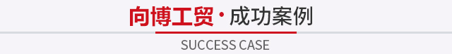 成功案例